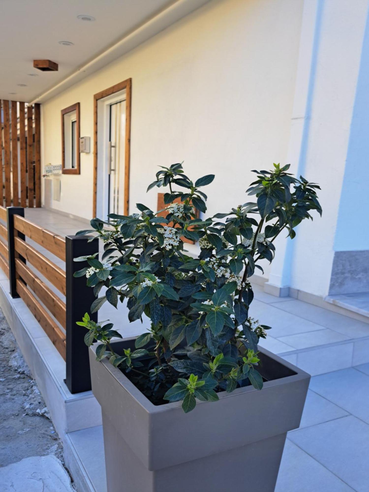 Ithaca Σπίτι Με Αυτόνομη Είσοδο Apartment Salonic Exterior foto